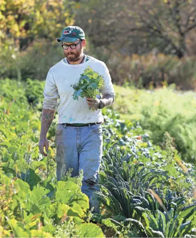  ?? RICK WOOD / MILWAUKEE JOURNAL SENTINEL ?? Caleb Trainor, farm manager at Wellspring Farm in Newburg, checks on harvested kale and other vegetables during harvest. The farm provides certified organic produce to about 130 families plus restaurant­s and farmers markets. See more photos at...