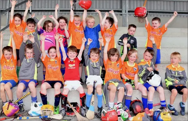  ??  ?? Some of the children at the GAA Cúl Camp in Taghmon.