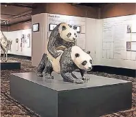  ?? FOTO: MUSEUM OF SEX NEW YORK CITY ?? Auch kopulieren­de Tiere – zum Beispiel Pandabären – sieht man im Museum of Sex in New York.