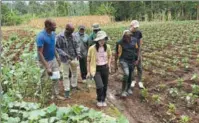  ?? PROVIDED TO CHINA DAILY ?? Li Yi, who is promoting agricultur­al technologi­es, works on a farm with her colleagues in Nairobi in April 2022.