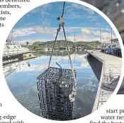  ??  ?? A cage of oysters is suspended off Ardfern pontoon