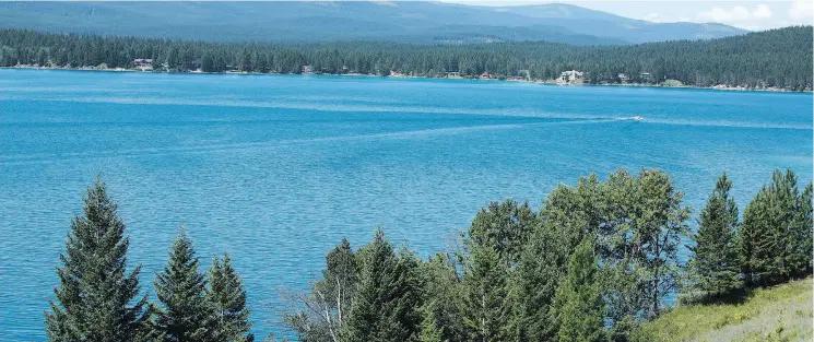  ?? CONSTANTGA­RDENER / GETTY IMAGES / ISTOCKPHOT­O ?? Jacob Moritz was seen trying to cross through a sparsely populated area near the Kootenai National Forest in Montana, pictured.