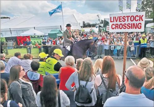  ??  ?? MANE ATTRACTION: A rider makes his way through the crowds gathered for the Royal Highland Show at Ingliston. Picture: Stewart Attwood