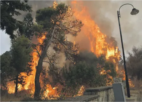  ?? AFP; EPA; AP ?? Clockwise from top, forest fires rage through Lebanese countrysid­e; soldiers try to extinguish a fire in the Mechref area of south Beirut; charred cars in a village