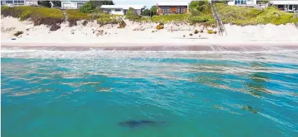  ?? Photo / Boundless Vision ?? A shark was spotted near the shores of Pukehina on Wednesday morning last week.