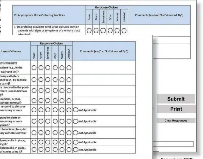  ??  ?? Pages from TAP’s facility assessment tool for catheteras­sociated urinary tract infections (CAUTI)”