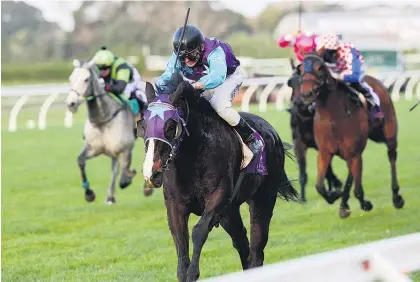  ?? Picture / NZ Racing Desk ?? Smedley has 60kg to lump through testing conditions tomorrow.