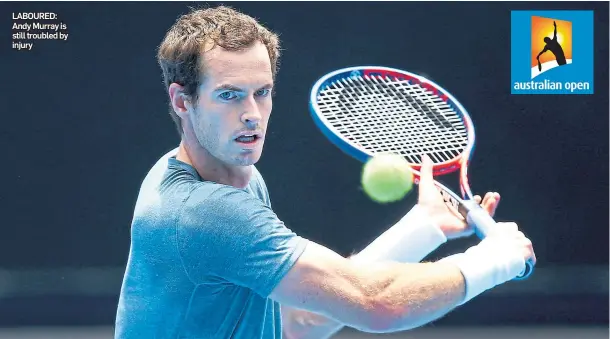  ??  ?? LABOURED: Andy Murray is still troubled by injury