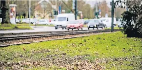  ?? FOTO: ANDREAS ENDERMANN ?? Heute: Wenn der Frühling kommt, werden diesmal keine Blumen an der Stelle blühen. Die Stadt hat die Ringe entfernen lassen.