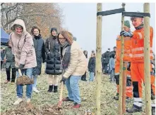  ?? FOTO: ASG ?? Der Familienba­um von Familie Bozkurt wurde stellvertr­etend für alle gepflanzt.