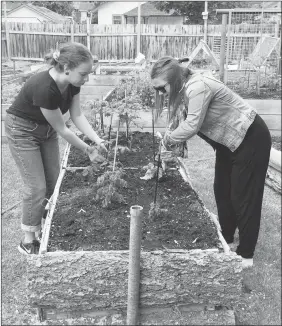  ?? Special to The Okanagan Weekend ?? Sierra Hartmann and Lindsey Hovey from the Medical Arts Health Research Group work in a garden the company maintains for the local food bank.