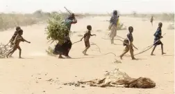  ??  ?? SANDSCAPE: Parched land in Dadaab, Kenya.