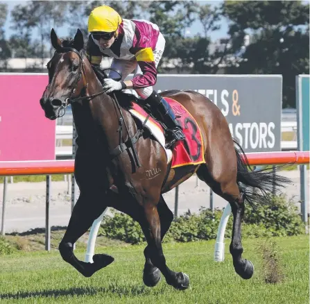  ?? Picture: MIKE BATTERHAM ?? Reindeer Moon, ridden by Micheal Hellyer, cruises home at the Gold Coast.