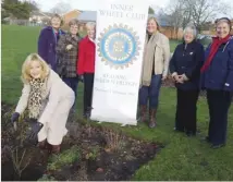  ??  ?? Inner Wheel president Valerie Coughlan plants a peace rose