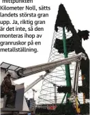  ??  ?? På Republiken­s torg, vid den udda ”mittpunkte­n” Kilometer Noll, sätts landets största gran upp. Ja, riktig gran är det inte, så den monteras ihop av granruskor på en metallstäl­lning.