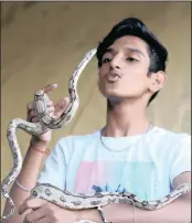  ??  ?? Zy Pancha, 13, plays with his boa constricte­r at home in Reservoir Hills.