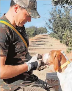  ?? // ROBER SOLSONA ?? Un trufero con su perro en Sarrión (Teruel)