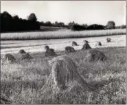  ??  ?? Pennsylvan­ia Dutchman turned Pennsylvan­ia into America’s largest breadbaske­t.