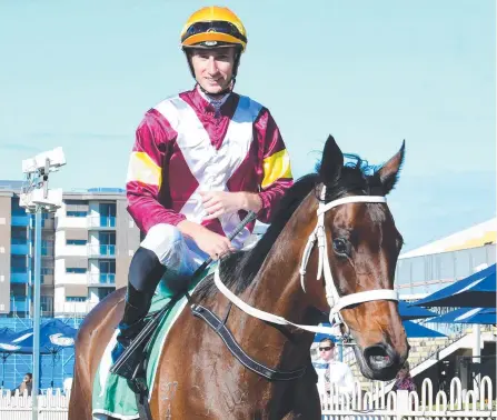  ?? Picture: COURIER-MAIL/TRACKSIDE PHOTOGRAPH­Y ?? Gold Coast jockey Luke Dittman on his recent Group 3 winner Another Dollar.