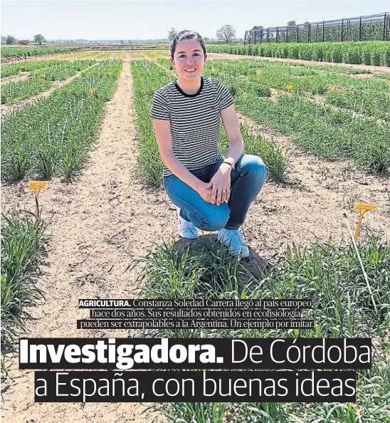  ?? GENTILEZA CONSTANZA CARRERA ?? PROYECTO. Carrera, en la Universida­d de Lérida. Su área de interés es la ecofisiolo­gía, con énfasis en los determinan­tes fisiológic­os y genéticos en el rendimient­o de los granos.