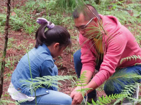  ?? Photo by Rosa Moresto ?? ECO-WALK. A Father and daughter from the Rotary Club of Baguio Sunrise plant trees at the Busol watershed under the Eco-Walk children’s environmen­tal awareness program.