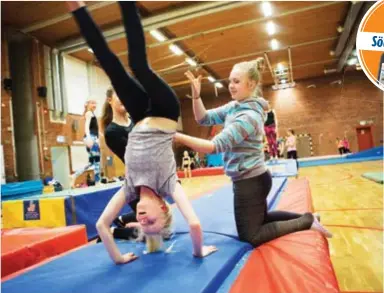  ??  ?? OMTYCKT. Brännkyrka­hallen i Kransen är välbesökt. Här finns två större hallar för bland annat handboll, basket och gymnastik. Så här kan det se ut när Solflickor­na tränar.