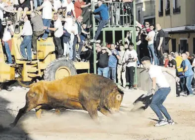  ?? J. J. MONTÓN ?? Las fiestas patronales de Sant Vicent de la Vall exhibirán este año dos ejemplares menos por la subida de los costes.