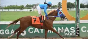  ?? (Photo: Garfield Robinson) ?? (Christophe­r Mamdeen) easily wins the inaugural staging of the $1.14-million Bridge 99 FM Cup feature race at Caymanas Park on Sunday.