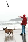  ?? — AFP FILE ?? A man throws a stick for his dog on the Grande Plage beach of Biarritz, France.