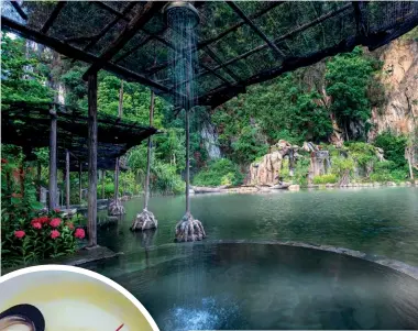  ??  ?? HOT FOR HEALTH A main attraction at The Banjaran is of course the hot spring waters that flow through it, allowing guests the benefits of soaking in the dipping pool; relish in thoughtful­ly prepared meals the resort has to offer (below)