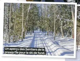  ?? PHOTOFOURN­IEPARSENTI­ERSDELA PRESQU’ÎLE-MICHELPRÉV­OST ?? Un aperçu des Sentiers de la presqu’île pour le ski de fond.