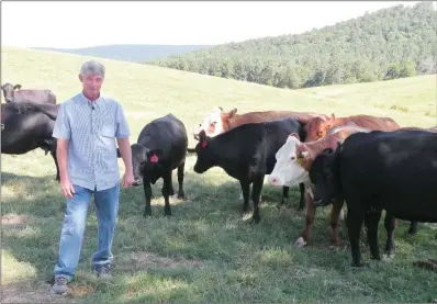  ?? CAROL ROLF/CONTRIBUTI­NG PHOTOGRAPH­ER ?? Terry Small raises a mixed herd of cattle on his farm in Hector. He sells the cattle through various local livestock auctions. He raises his own hay to feed the cattle during the winter.