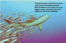  ??  ?? Fishing has been banned for many years in the Kermadec Islands Marine Reserve, but plans for a far bigger ocean sanctuary are now stalled by NZ First’s quibbles.