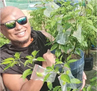  ??  ?? A Bicolano chef and urban grower named Wilson Tan produce food on his rooftop.