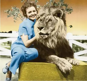  ?? MARGATE AND CHANDLER INC. AP file ?? Actress and animal activist Betty White visits with a lion during her 1970s series ‘The Pet Set.’ The restored series, renamed ‘Betty White’s Pet Set,’ is on DVD and streaming platforms.