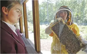  ??  ?? Sarah Myers (right) a manager at the Bayer North American Bee Care Center, shows a tray of bees to St Thomas More Academy student Maria Pompi (left) during a tour of the center in Research Triangle Park, NC.