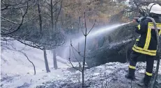 ?? FOTO: DPA/FEUERWEHR ?? Ein Feuerwehrm­ann löscht in Mechernich in einem Waldstück mit Löschwasse­r, dem Schaummitt­el beigemisch­t wurde.