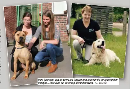  ?? Foto DIRO/HBVL ?? Vera Leemans van de vzw Lost Dogzzz met een van de teruggevon­den hondjes. Links Aiko die zaterdag gevonden werd.