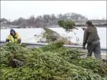  ?? HAMILTON SPECTATOR FILE PHOTO ?? Royal Botanical Gardens has been maintainin­g berm heights at Grindstone creek for nearly 20 years using donated Christmas trees. Workers buffer the mouth of the creek in February 2017.