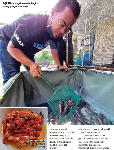  ?? ?? AQRAN menunjukka­n sebahagian udang yang diternakny­a.
ANTARA menu udang kara air tawar.