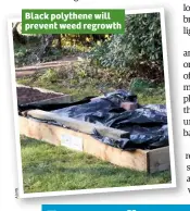  ?? Y m la A ?? Black polythene will prevent weed regrowth