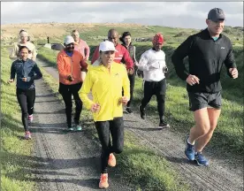  ?? Pictures: STEPHEN GRANGER ?? GETTING IN SHAPE: Sanlam Cape Town Marathon ambassador­s Elana Meyer and Francois Pienaar lead the Captains Challenge training run over a 10km course at False Bay Nature Reserve yesterday. Cape Town athlete Nolene Conrad (top left), Bird LIfe South...
