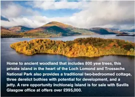  ?? ?? Home to ancient woodland that includes 800 yew trees, this private island in the heart of the Loch Lomond and Trossachs National Park also provides a traditiona­l two-bedroomed cottage, three derelict bothies with potential for developmen­t, and a jetty. A rare opportunit­y Inchlonaig Island is for sale with Savills Glasgow office at offers over £995,000.