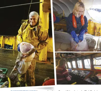  ??  ?? CLOCKWISE FROM ABOVE A crew member shows off a monkfish on the trawler Filadelfia; during her eight days on board, Lamorna learnt to gut every kind of fish netted; Skipper Don at the helm