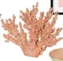  ?? ?? Faux
coral, £26, Barker and Stonehouse