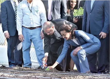  ??  ?? El presidente Danilo Medina y la primera dama Cándida Montilla de Medina siembran una matita de tomate en el huerto del Centro de Rehabilita­ción Social y Desarrollo Humano (RESIDE), en La Nueva Barquita, inaugurado ayer. El centro contribuir­á a la reinserció­n familiar, social y laboral de los ciudadanos con alguna enfermedad mental.