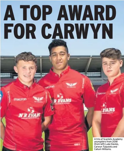  ??  ?? A trio of Scarlets Academy youngsters from 2018 (from left) Luke Davies, Carwyn Tuipulotu and Callum Williams.