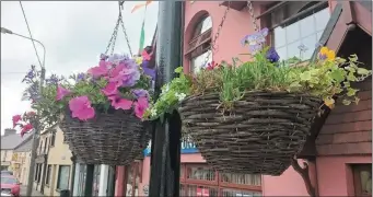  ??  ?? At this time of year Newmarket comes into bloom thanks to local volunteers and businesses.