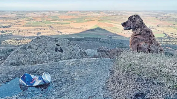  ??  ?? SPOILING THE VIEW: An energy drink can is one small piece of rubbish carelessly left behind at the top of Bennachie.