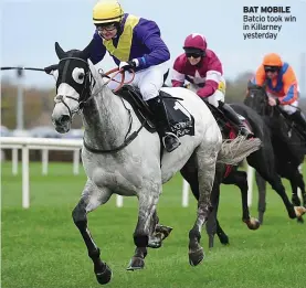  ??  ?? BAT MOBILE Batcio took win in Killarney yesterday